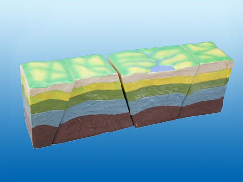 點擊查看詳細信息标題：斷裂構造及地壘地塹發育模型 閱讀次數：2467